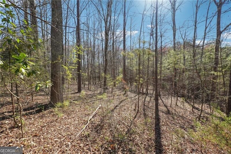 Powder Springs, Georgia 30127, United States, ,Land,Active,94540