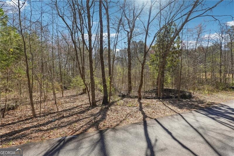 Powder Springs, Georgia 30127, United States, ,Land,Active,94540