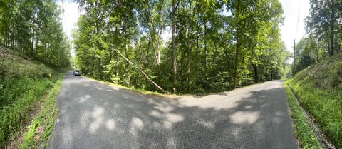 Photo of 92 Muslin Drive NE, Ranger, GA 30734 (MLS # 10182643)