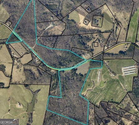 6343 HIGHWAY 198, CARNESVILLE, GA 30521 - Image c8e3f122d1f9ea84f88ea76e90a9f0af/556862796