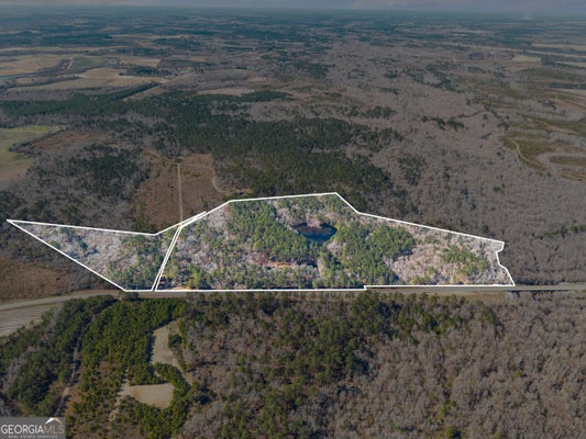 22701 GA HIGHWAY 129 S, COBBTOWN, GA 30420 - Image c8ec1e77dd5626f6e64fb2e76f11defe/1061935536
