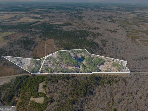 Photo of 22701 S Highway 129, Cobbtown, GA 30420 (MLS # 10697847)