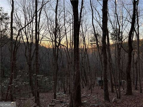 Photo of 0 Mulberry Court, Jasper, GA 30143 (MLS # 10708391)