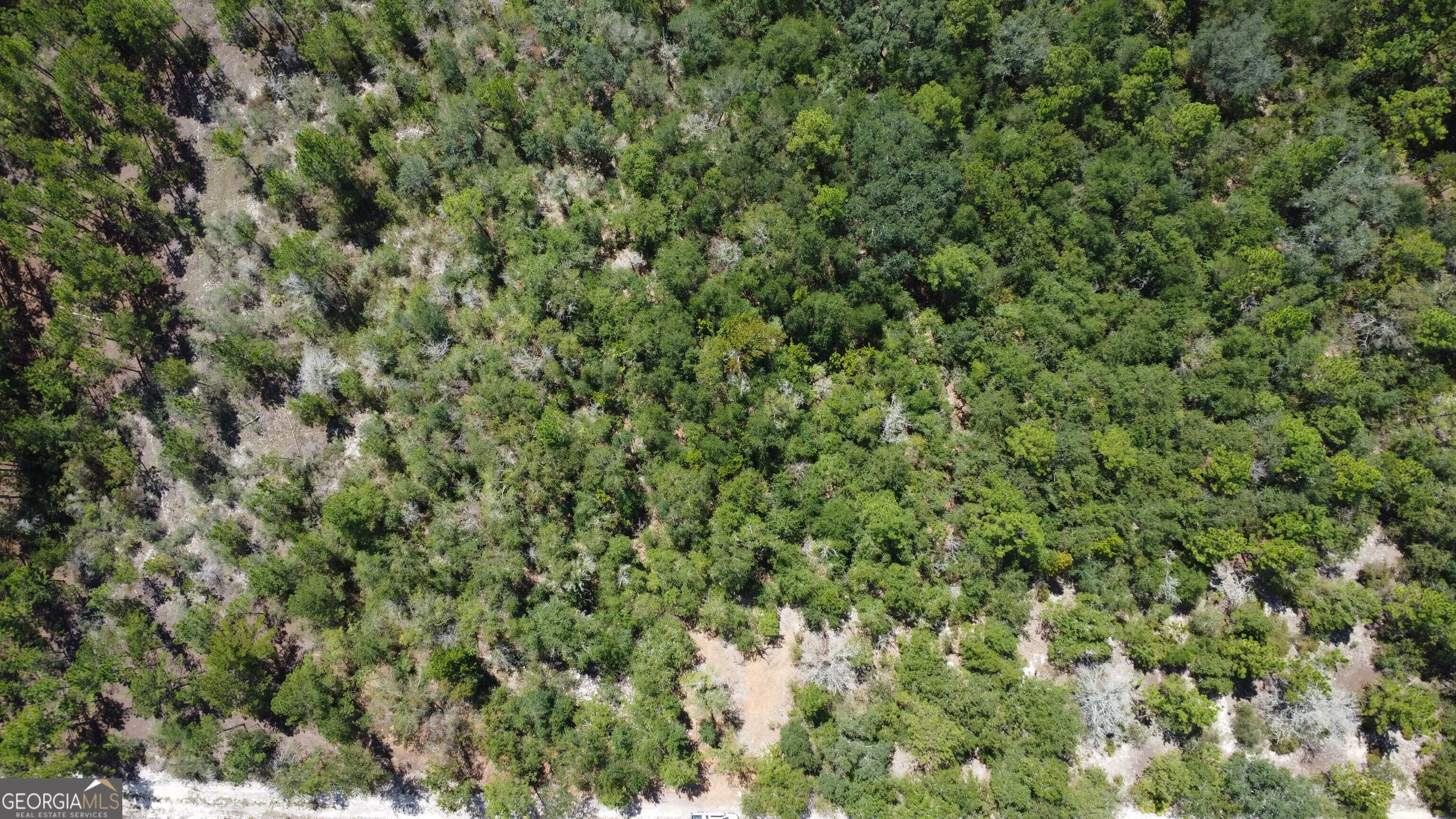 LOT 4 Porter Road, Pembroke, GA, 31321