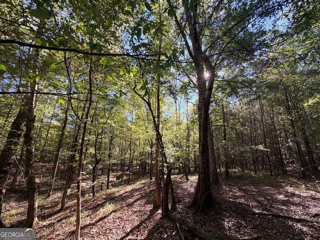 Photo of 12 Hollis Norman Road, Tignall, GA 30660 (MLS # 10876822)