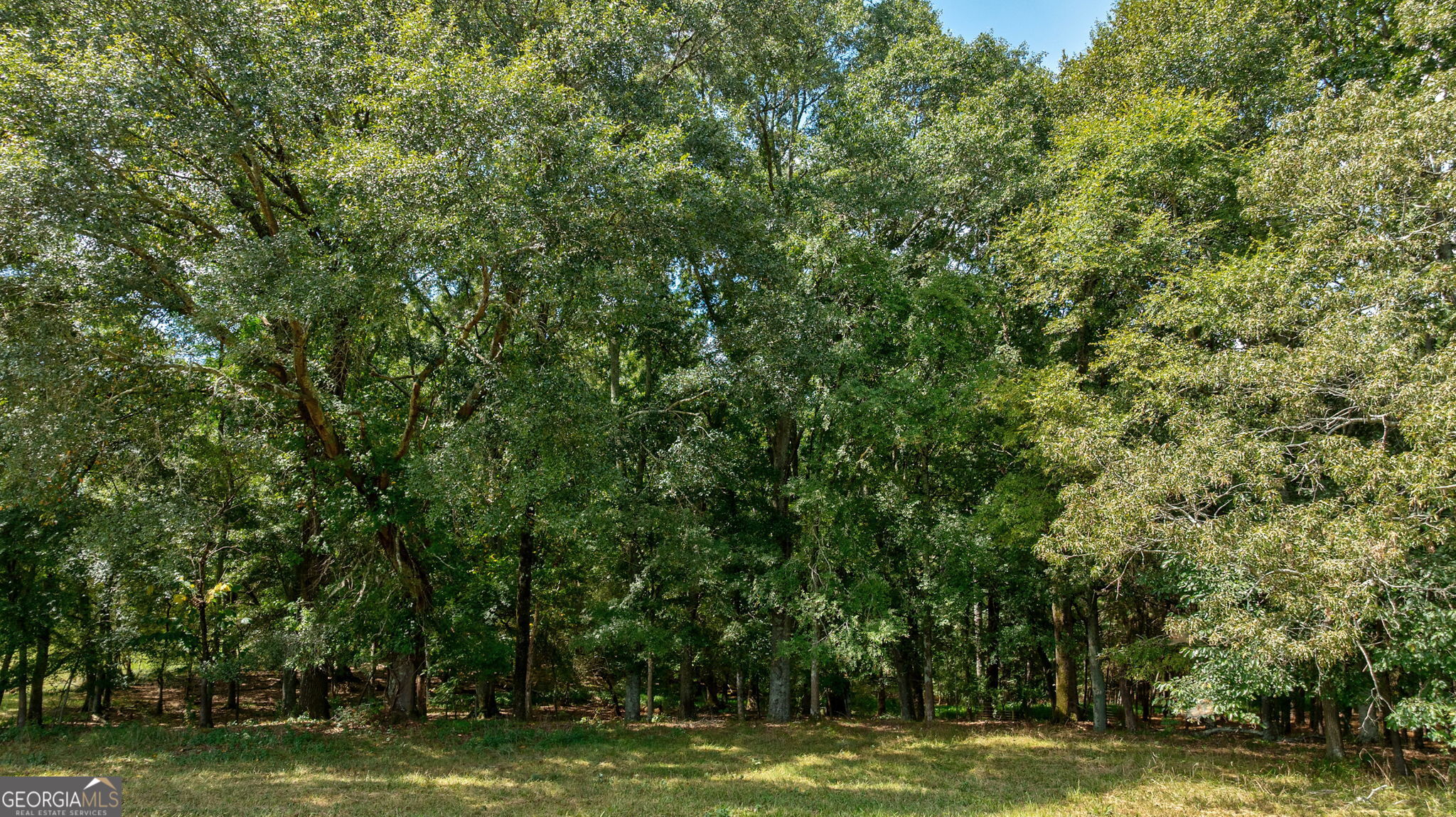 1160 Middlebrooks RD
