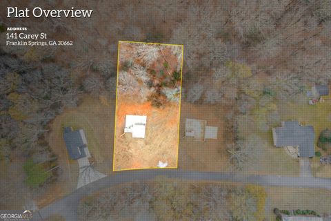 Photo of 141 Carey Street, Franklin Springs, GA 30662 (MLS # 10679192)