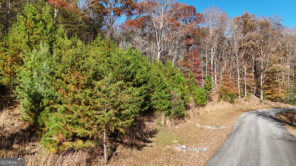 Photo of 184 Northshore Drive, Cleveland, GA 30528 (MLS # 10832889)