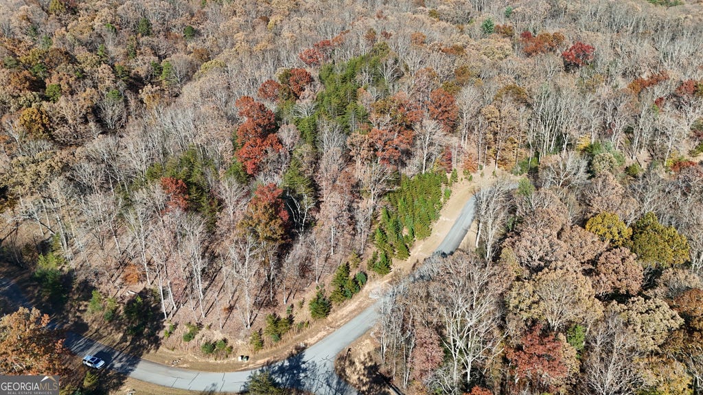 Photo of 184 Northshore Drive, Cleveland, GA 30528 (MLS # 10832889)
