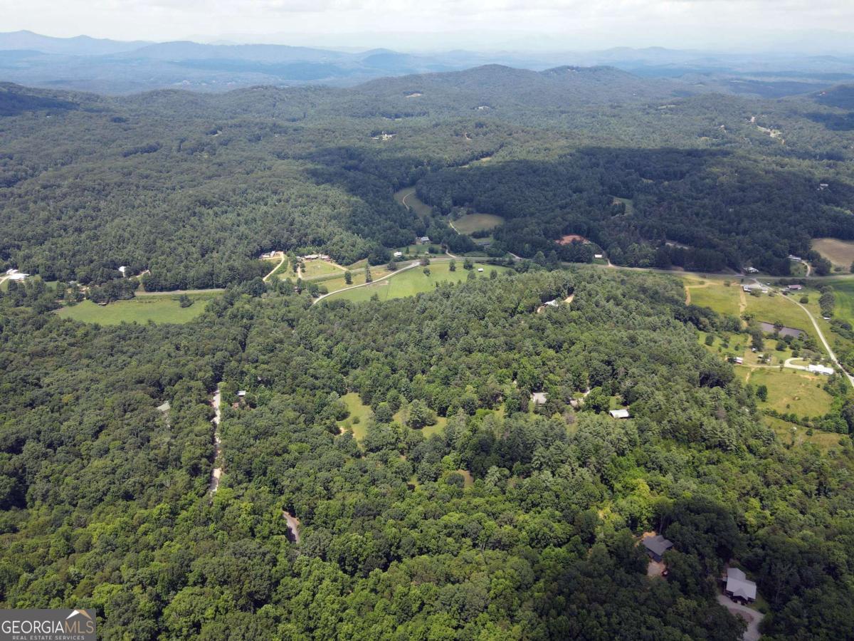 This level/gentle lot makes this the perfect homesite for that one level living many people are looking for. Plenty of room for your home and garage. The Scouts Overlook community has homes built by the top area builders ranging in value from the $900K to over $2M. The community adjoins hundreds of acres of Boy Scout property ensuring your private setting and offering you direct access to hiking and exploring. This prestigious development is 10 minutes to Lake Nottely, 20 minutes to downtown Blue Ridge, Blairsville, Lake Blue Ridge, the Toccoa River and 25 minutes to Murphy, NC. This truly is a unique area with a variety of outdoor activities, historic downtown areas, lots of festivals, wineries, breweries, and restaurants. Fiber optics have been installed for better internet and cell service. Public water available. Lets pick a builder and get busy building your dream home. Soil work has been completed previously on each individual lot