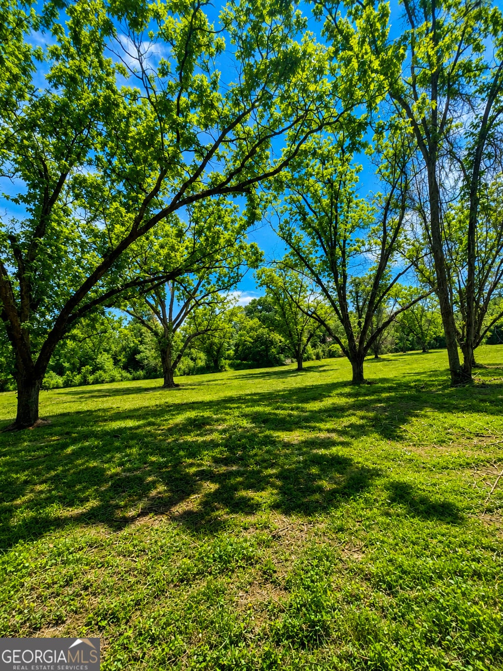 Photo of 0 Salem Road #2, Pine Mountain, GA 31822 (MLS # 10781597)