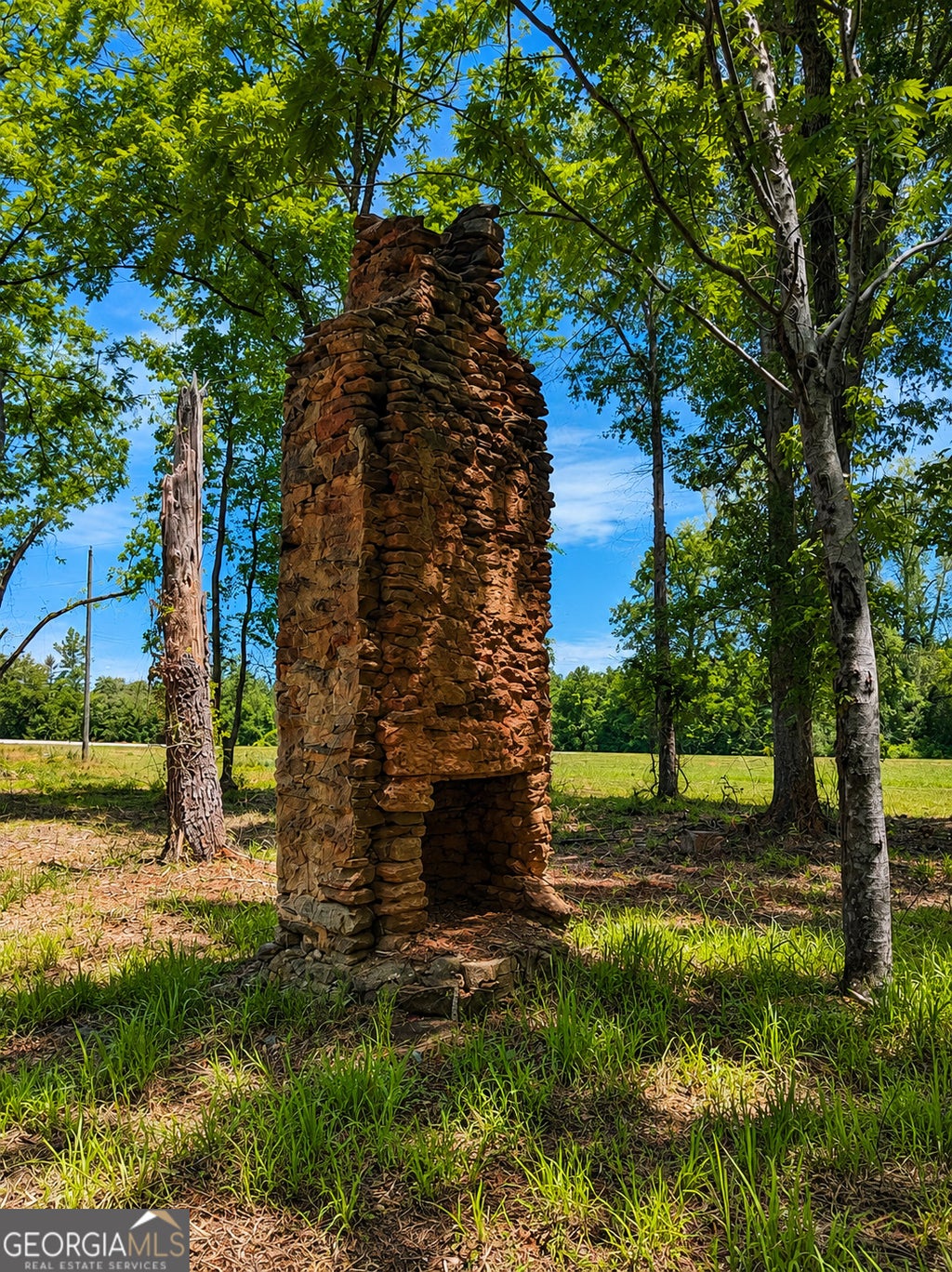 Photo of 0 Salem Road #2, Pine Mountain, GA 31822 (MLS # 10781597)