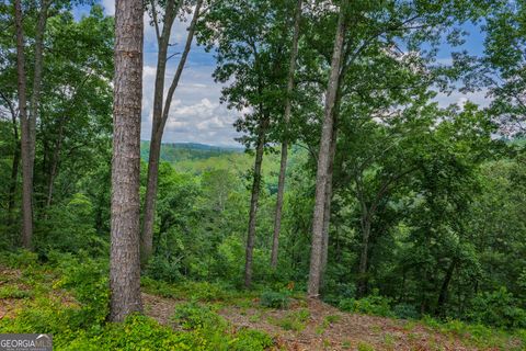 Photo of 295 Pebble Trace, Talking Rock, GA 30175 (MLS # 10786580)