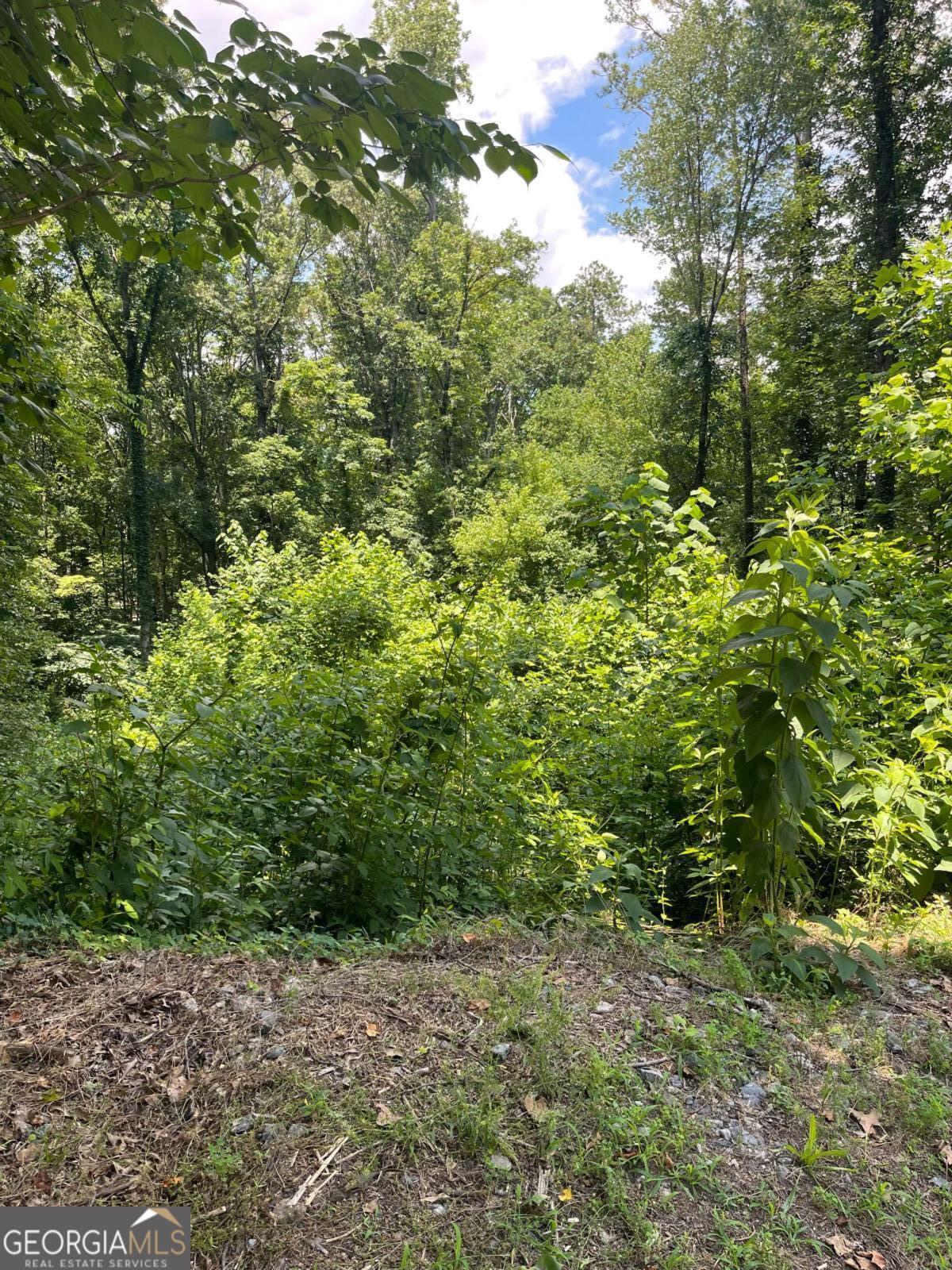 Located in cul de sac of quiet community with excellent location. Nice homes on street. Build your home. New home built on same street. NO HOA! Excellent River Ridge High School district. Just minutes to downtown Woodstock. Convenient to access to I-575, Roswell & Alpharetta! Shopping nearby, fitness centers, restaurants, parks and walking trails are just around the corner- close by!