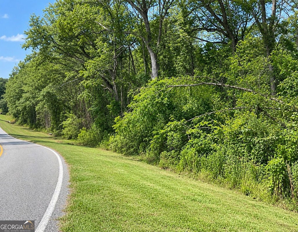 Photo of 0 Cannonville Road, Abbeville, GA 31001 (MLS # 10867471)