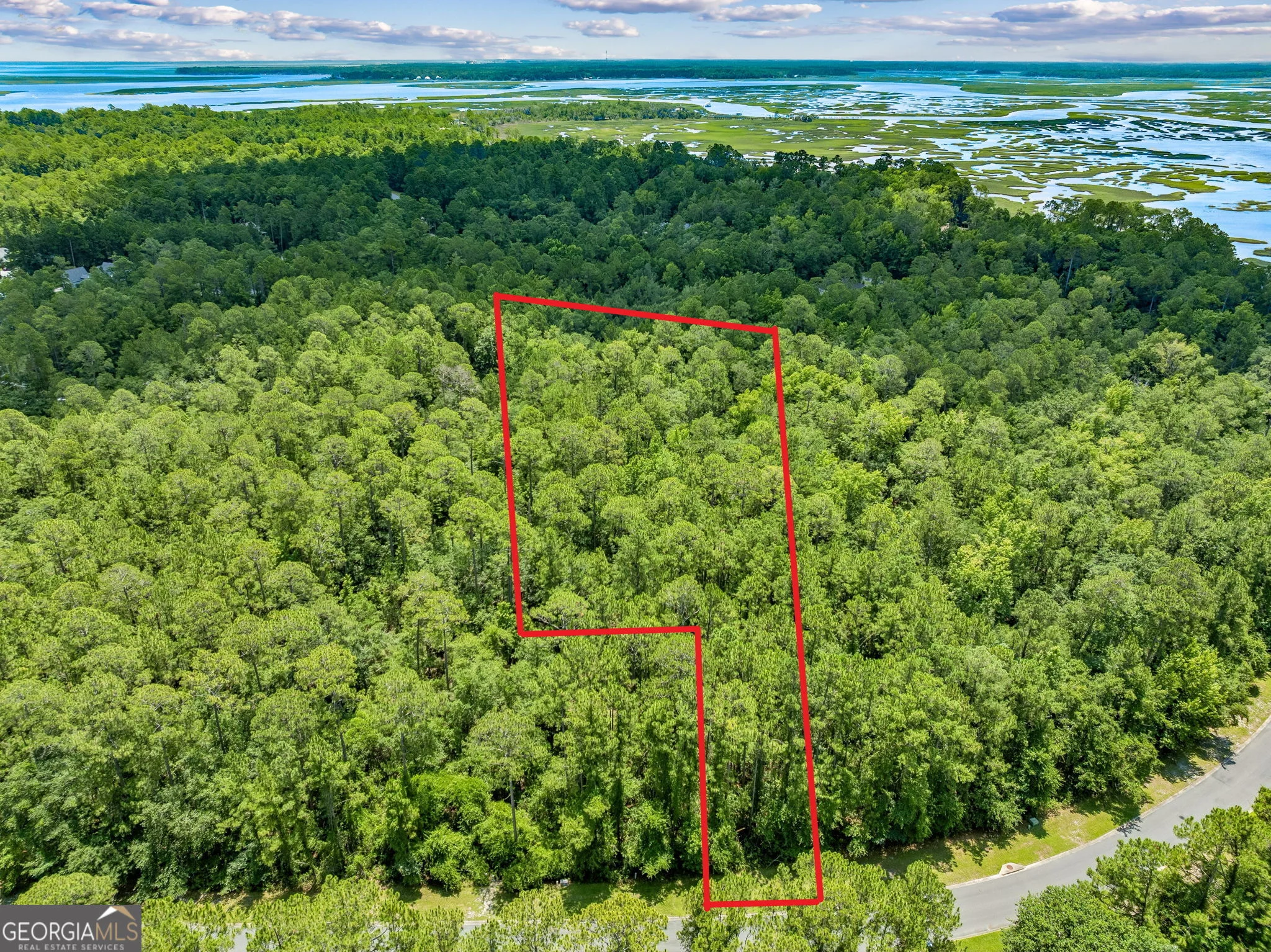 V/L 18 Lighthouse Circle, Woodbine, GA, 31569
