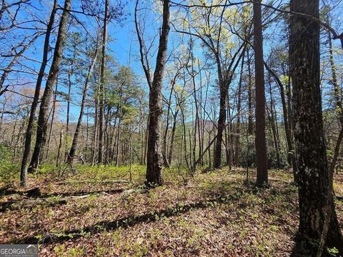 5.20 Deer Crest RD Blue Ridge GA 30513