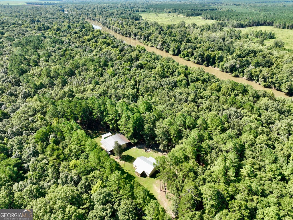 Photo of 239 Coleman Landing Road, Hawkinsville, GA 31036 (MLS # 10841582)