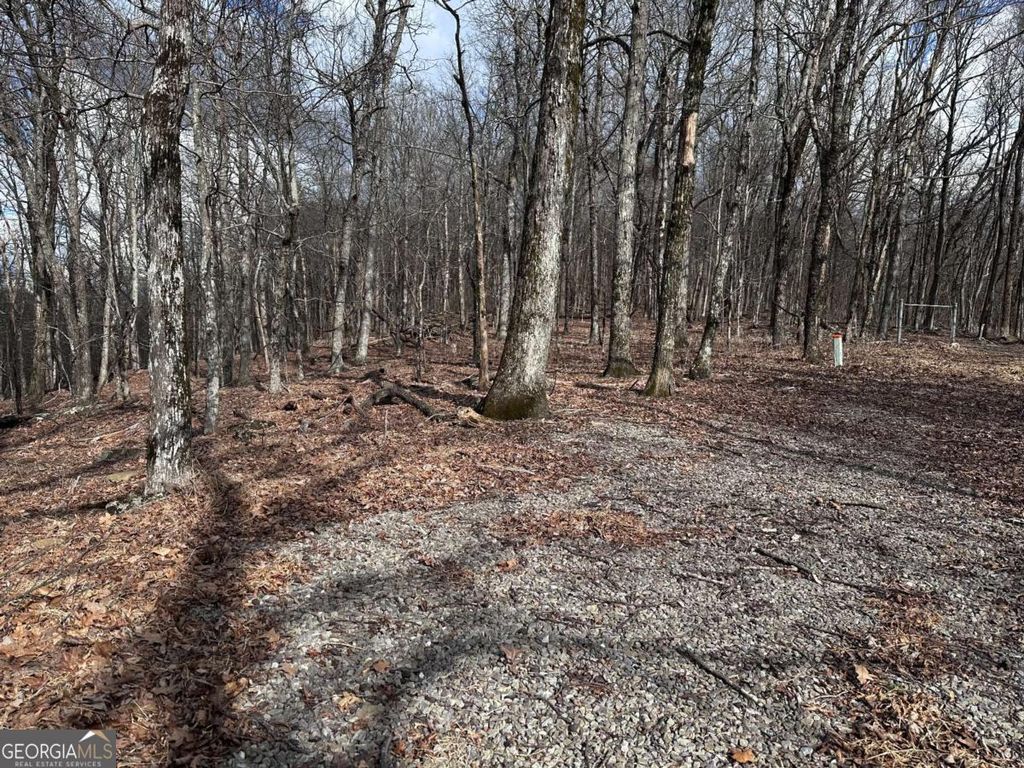 Photo of TR C Old A T Approach Trail, Jasper, GA 30143 (MLS # 10705488)