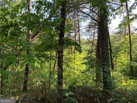 Photo of 1335 Birch Lane, Ranger, GA 30734 (MLS # 10696759)