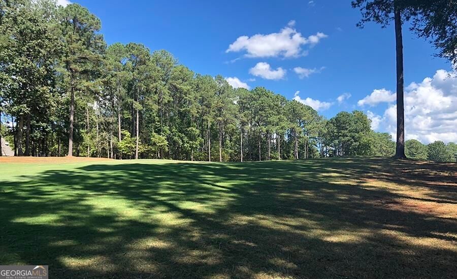 Photo of 1580 Club Drive, Greensboro, GA 30642 (MLS # 10881063)