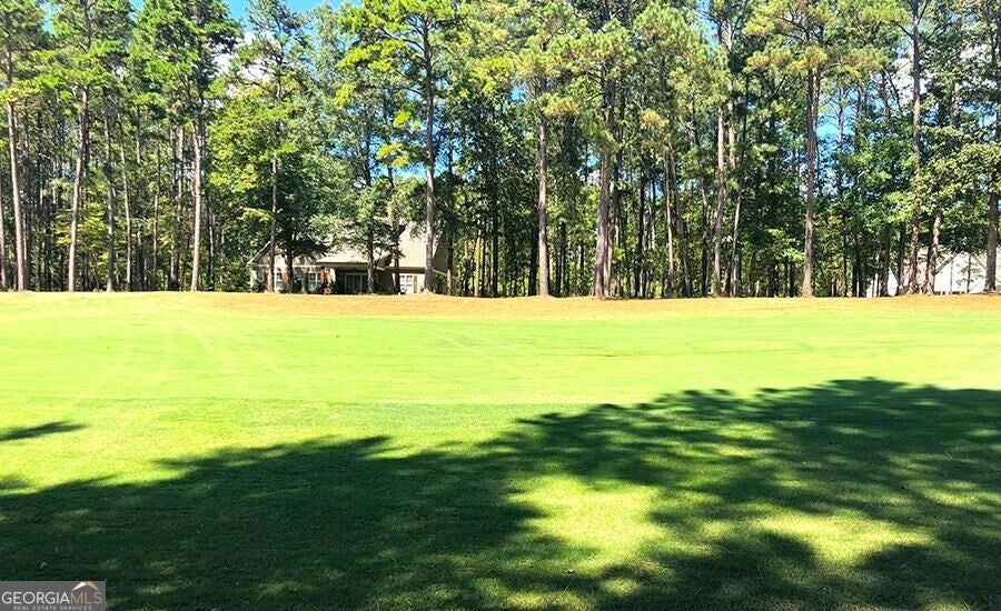 Photo of 1580 Club Drive, Greensboro, GA 30642 (MLS # 10881063)