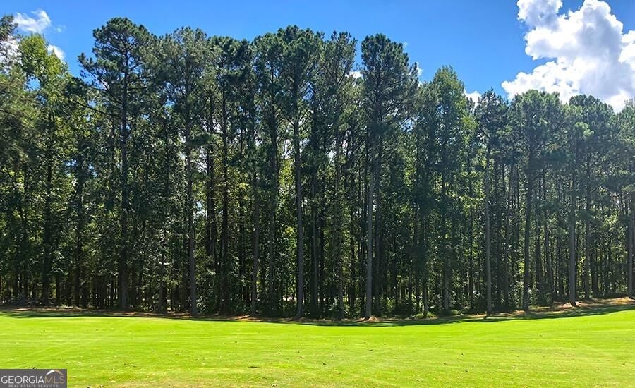 Photo of 1580 Club Drive, Greensboro, GA 30642 (MLS # 10881063)