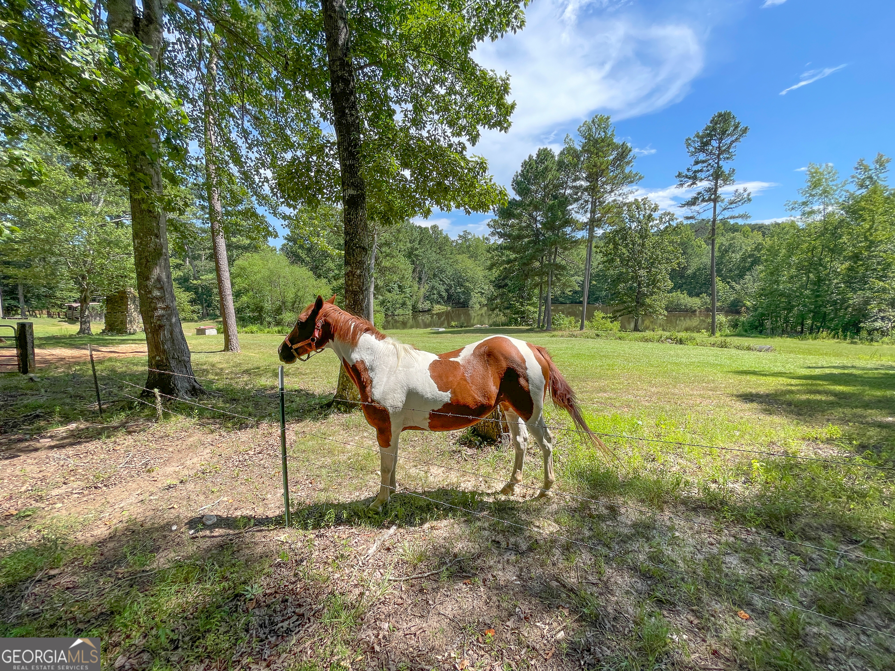 87 +/- Acres with Home on Old Yorkville RD
