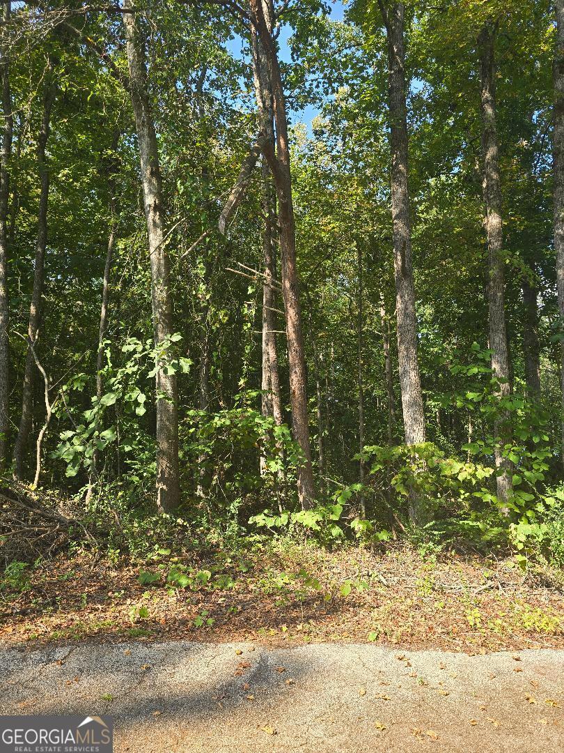 Welcome to 130 Lakeview Way in Martin, GA - a wonderful residential parcel that offers not only a scenic, peaceful setting but also the chance to build the home you've always imagined. As a homeowner in this community, you will have full access through the Property Owners' Association to a private boat ramp, which makes fishing, boating, and enjoying time on the water part of your everyday possibilities. The lot offers natural beauty, privacy, and the promise of lakeside living without necessarily being directly on the water, yet utilities are nearby and community restrictions are minimal. If you're looking for a peaceful yet accessible spot to build, this is a solid choice to stretch your investment while enjoying the lake lifestyle.