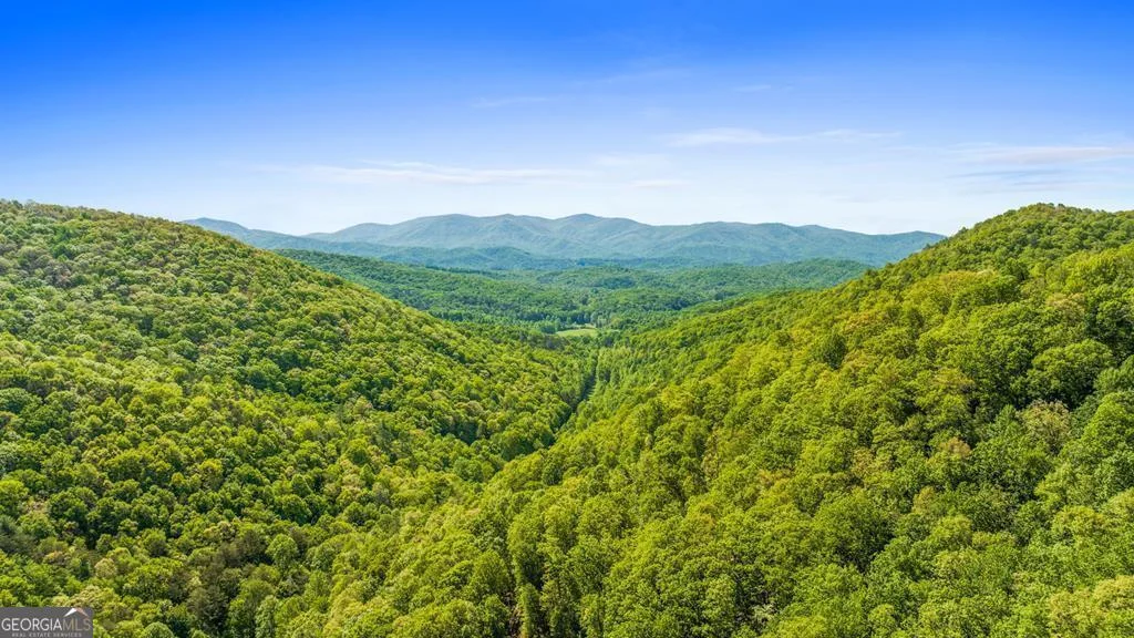 LOT 18 Cub Trail, Cherry Log, GA, 30522