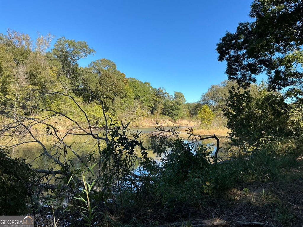 Photo of 00 Hwy 36 #8, Woodland, GA 31836 (MLS # 10876263)