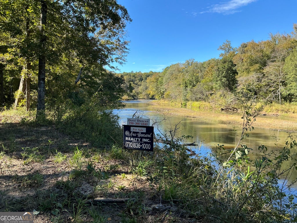 Photo of 00 Hwy 36 #8, Woodland, GA 31836 (MLS # 10876263)