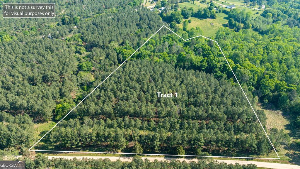 Photo of 0 Cunningham Road, Lexington, GA 30648 (MLS # 10756814)