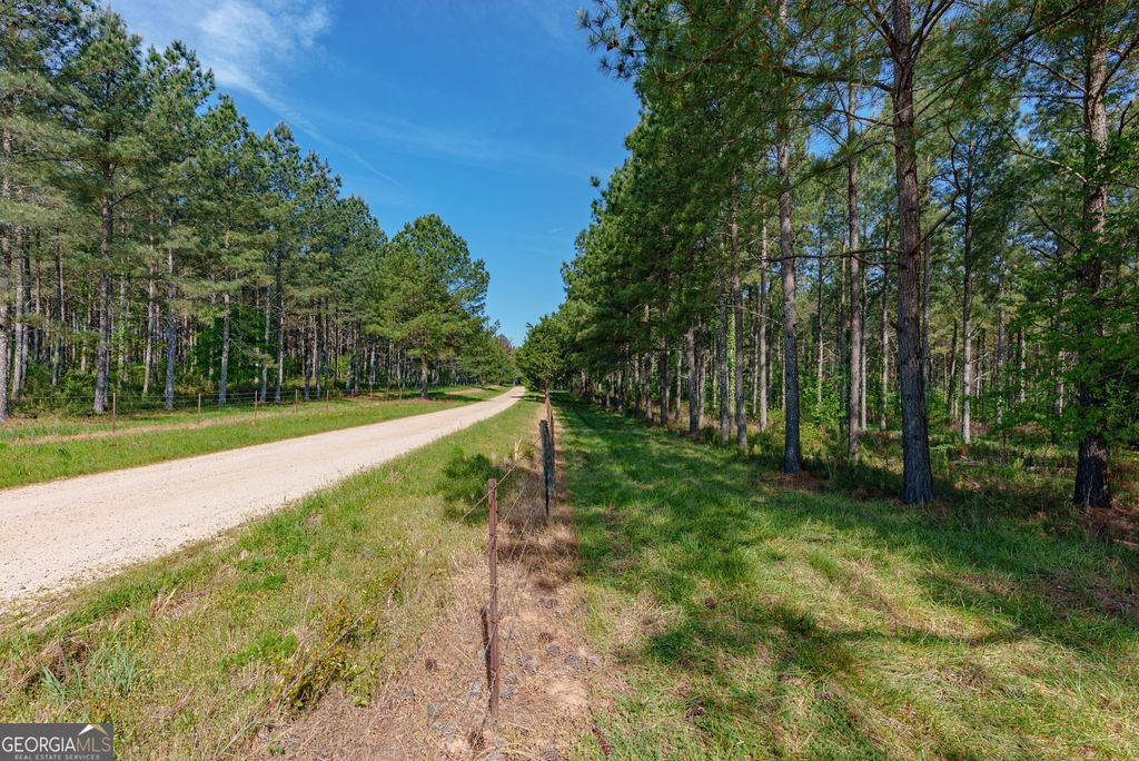 Photo of 0 Cunningham Road, Lexington, GA 30648 (MLS # 10756814)