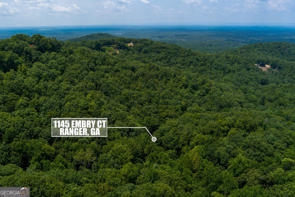 Photo of 1145 Embry Court, Ranger, GA 30734 (MLS # 10821095)
