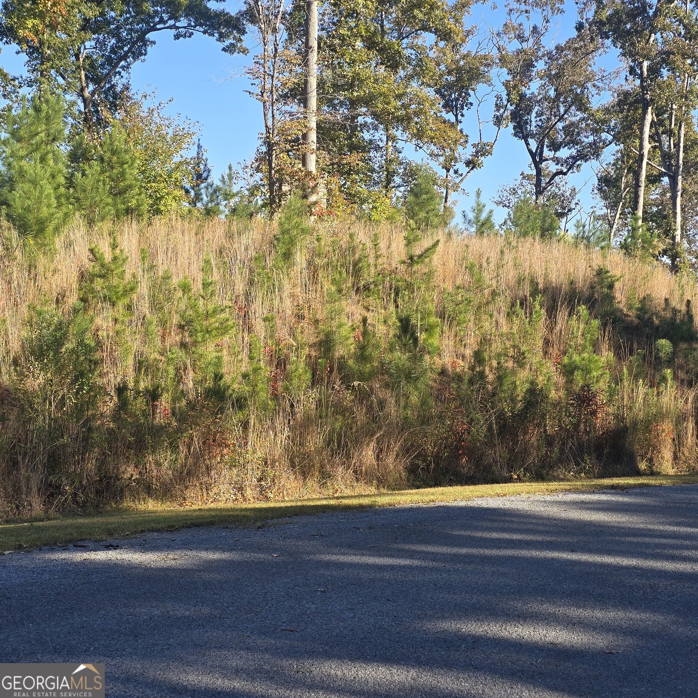 LOT 86 River Overlook LN