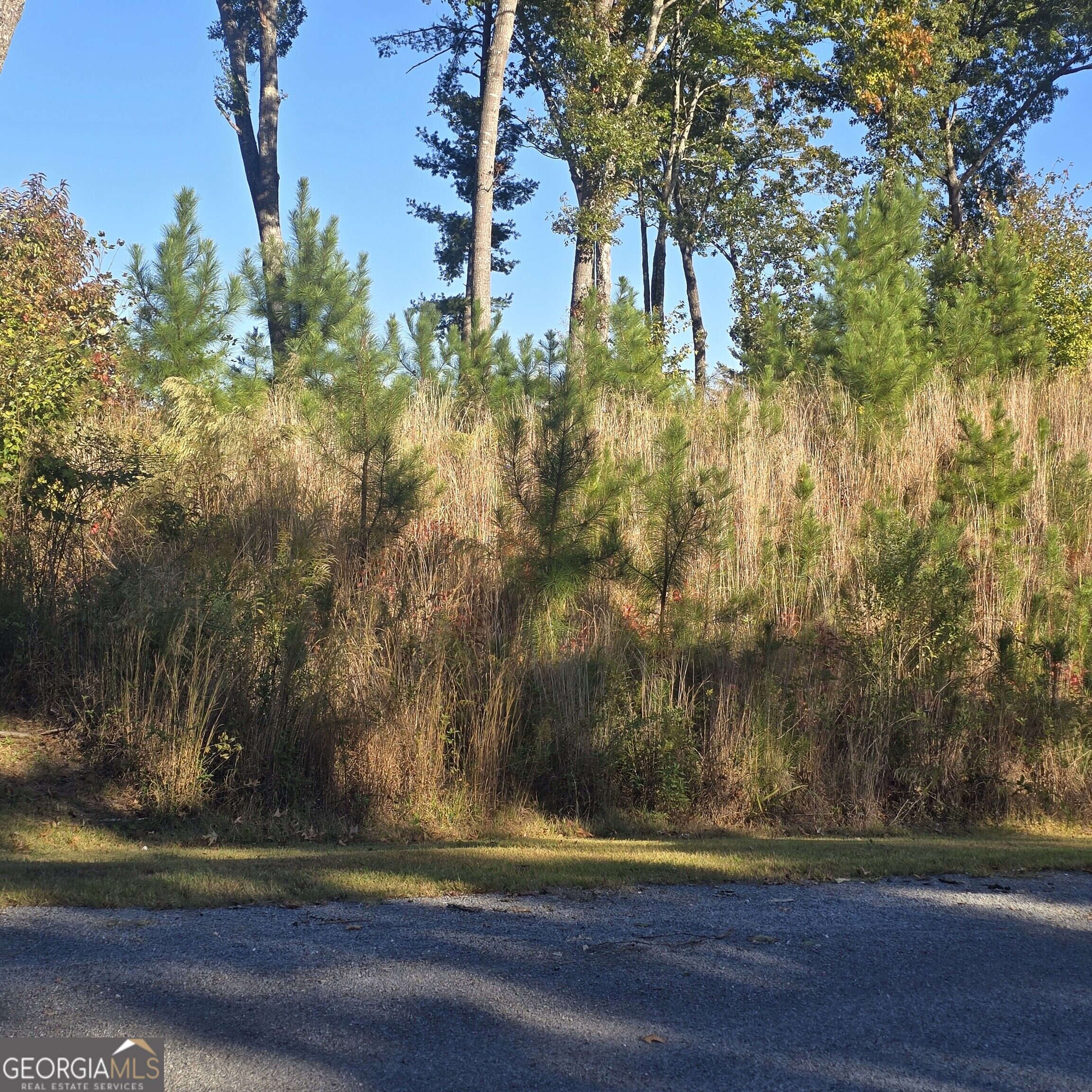 LOT 86 River Overlook LN