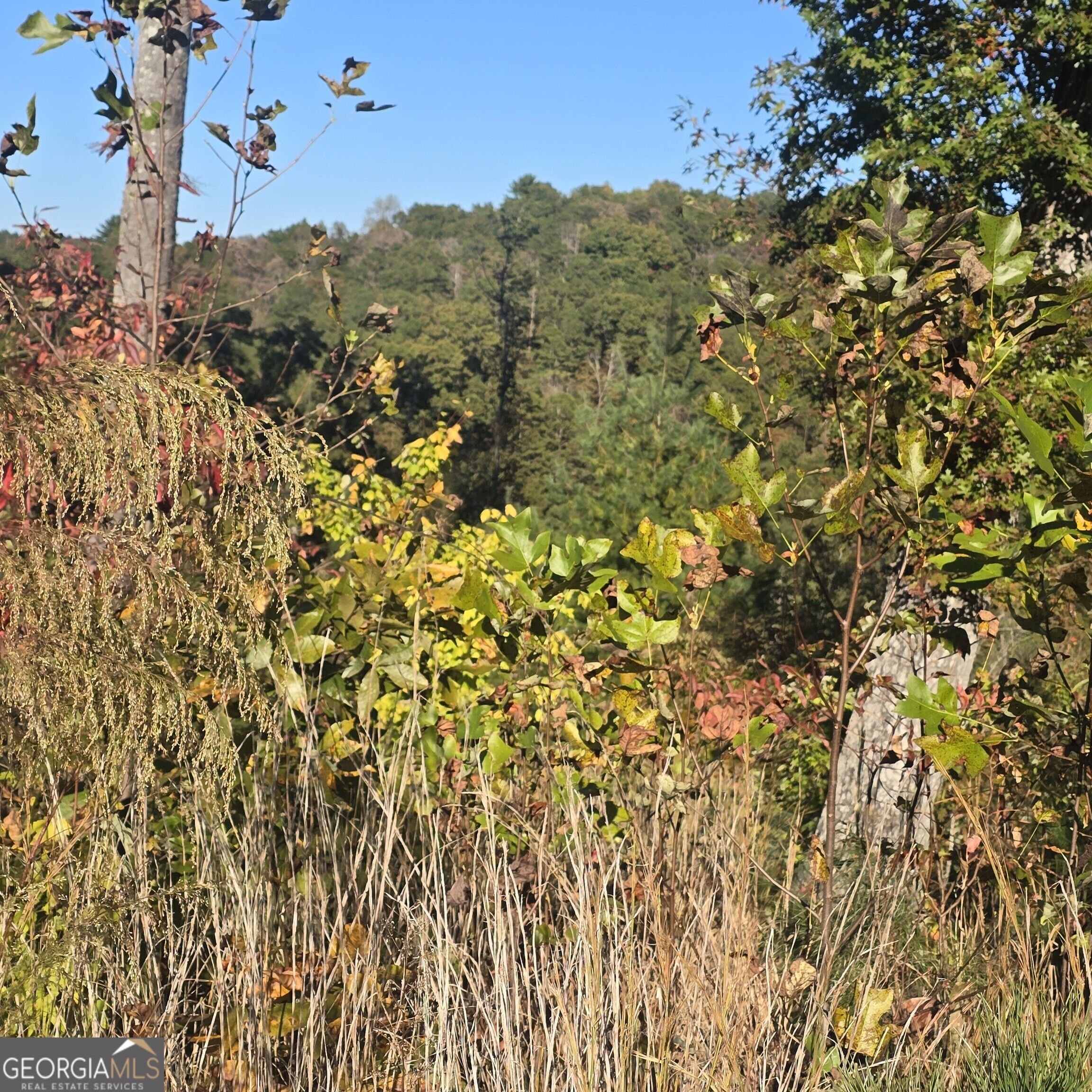 LOT 86 River Overlook LN