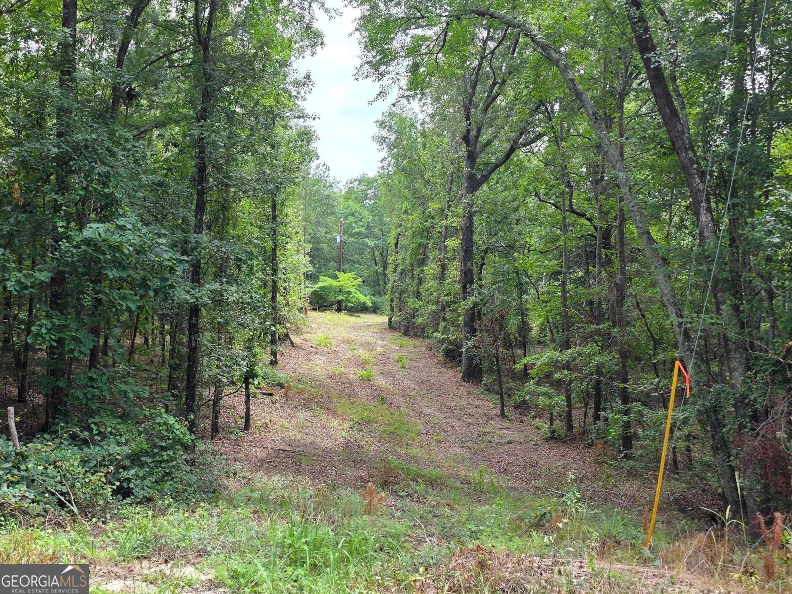 456 Horseshoe CIR