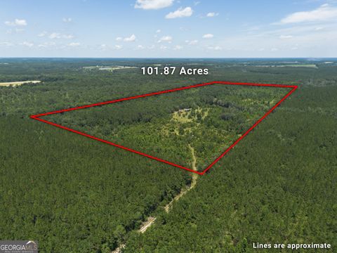 440 Holt RD Wray GA 31798