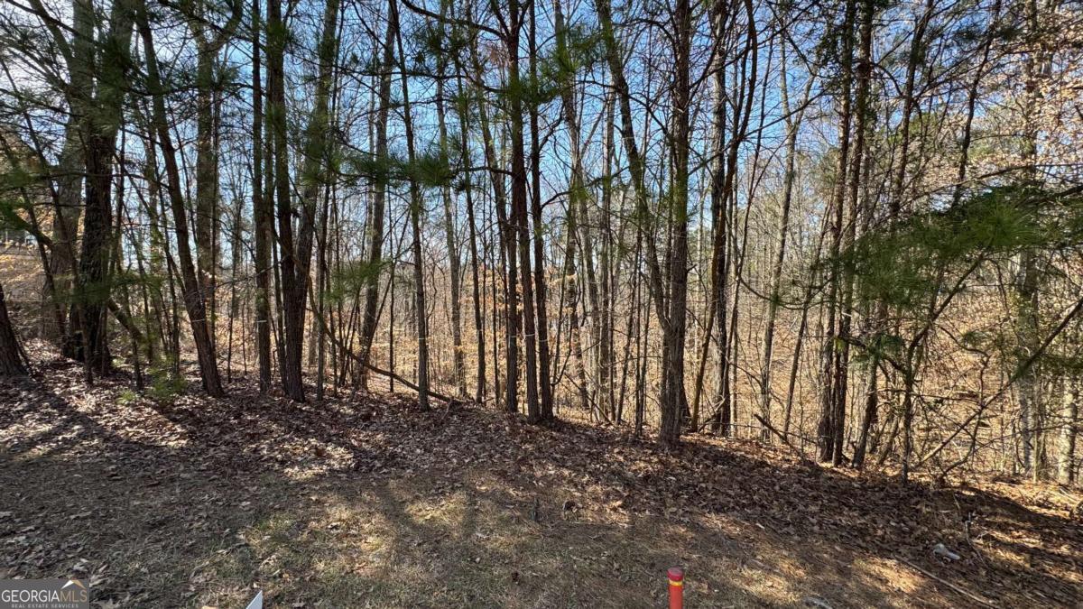 5213 Prestley Crossing LN