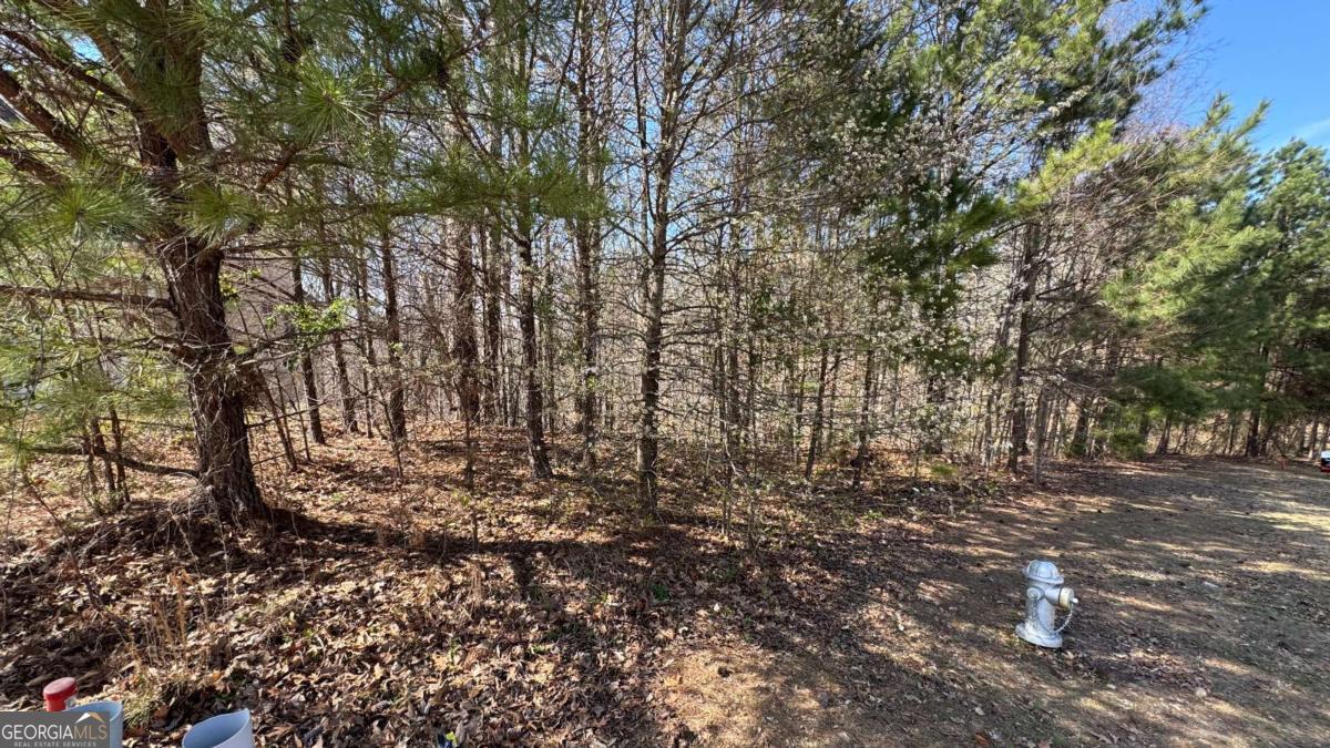 5213 Prestley Crossing LN