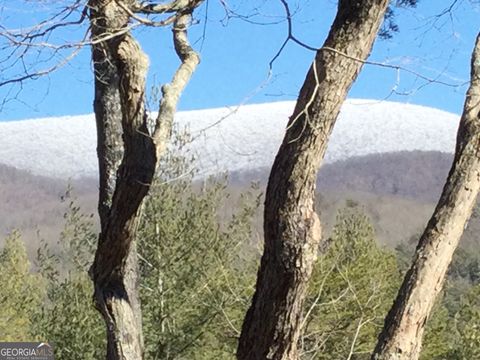 A home in Ellijay