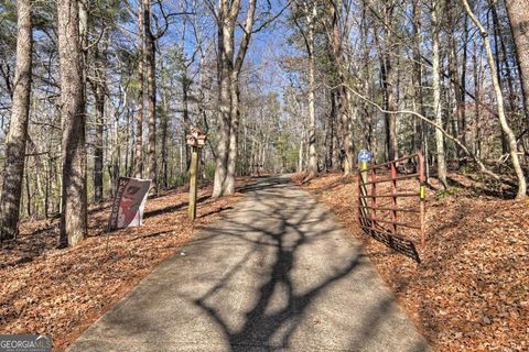 A home in Ellijay