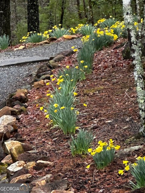 A home in Ellijay