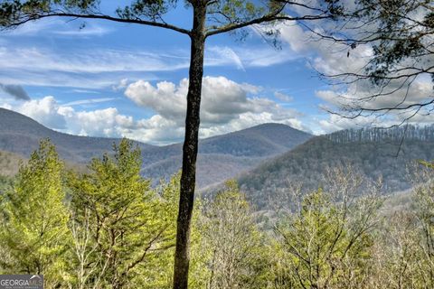 A home in Ellijay