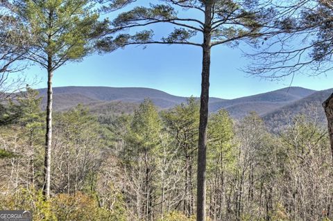 A home in Ellijay