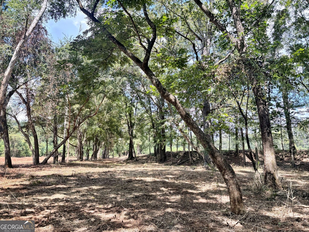 Photo of 102 Yellow Creek Rd, Forsyth, GA 31029 (MLS # 10839268)
