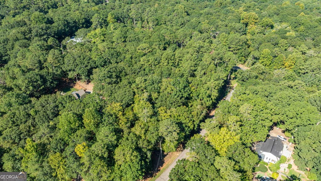 Photo of 1020 Brittain Estates Drive, Watkinsville, GA 30677 (MLS # 10833667)