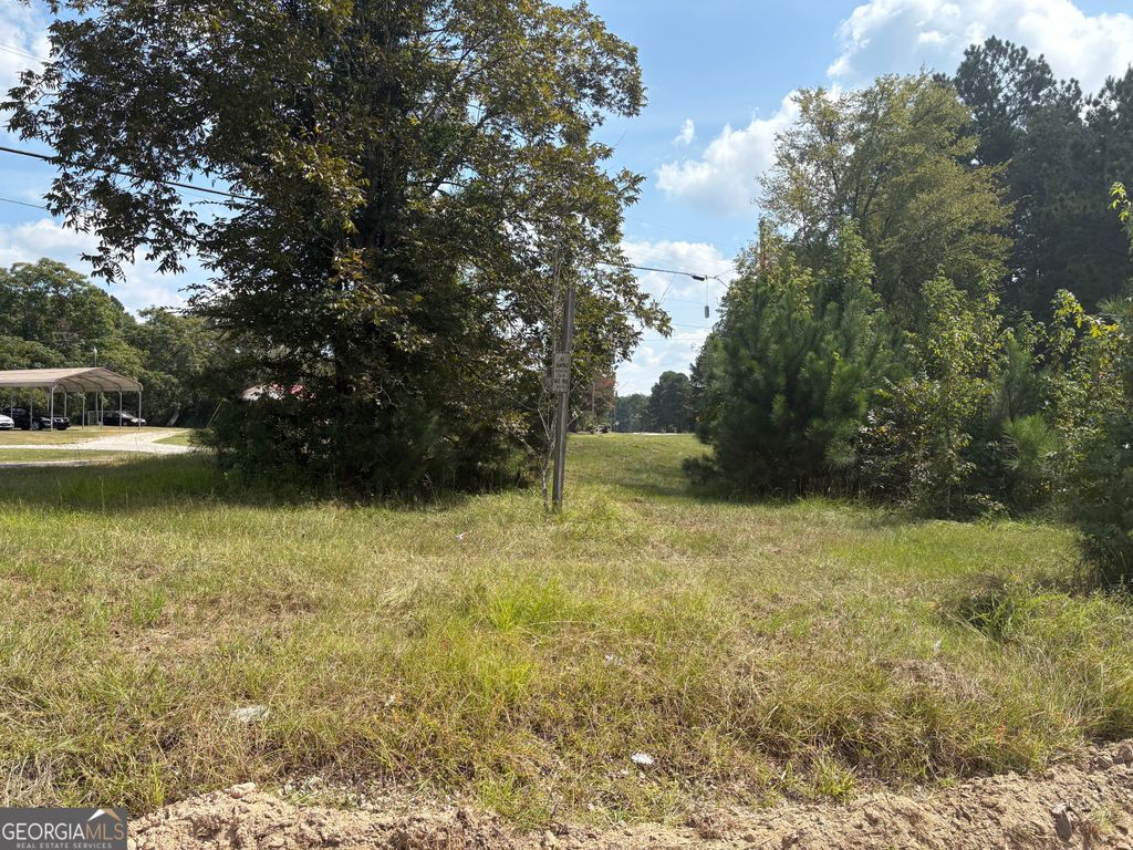 Photo of 1112 Shoals Road, Sparta, GA 31087 (MLS # 10733175)